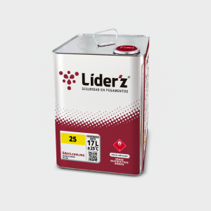 LIDER'Z 25